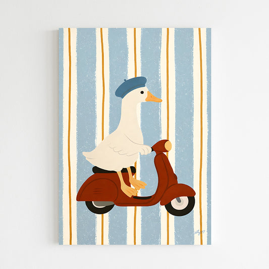 Canard en moto